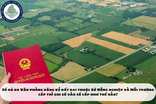 Sổ đỏ do Văn phòng đăng ký đất đai thuộc Sở Nông nghiệp và Môi trường cấp thì ghi số vào sổ cấp như thế nào?