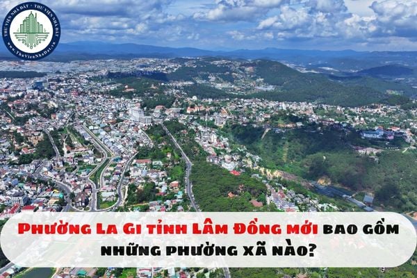 thuviennhadat.vn