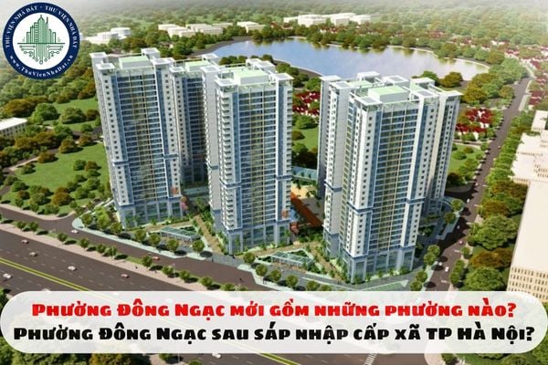 Phường Đông Ngạc mới gồm những phường nào? Phường Đông Ngạc sau sáp nhập cấp xã TP Hà Nội?
