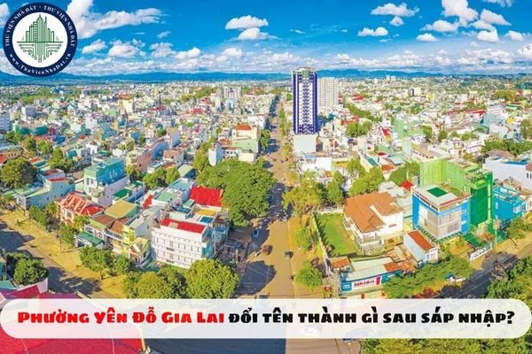 thuviennhadat.vn