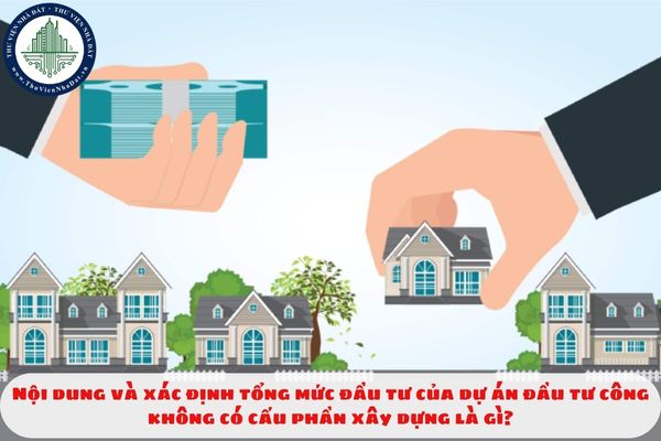 Nội dung và xác định tổng mức đầu tư của dự án đầu tư công không có cấu phần xây dựng là gì?