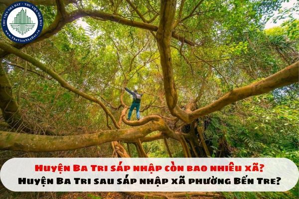 Huyện Ba Tri sáp nhập còn bao nhiêu xã? Huyện Ba Tri sau sáp nhập xã phường Bến Tre?