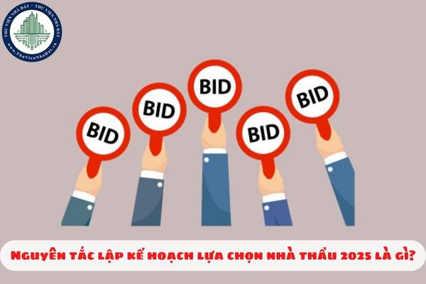 Nguyên tắc lập kế hoạch lựa chọn nhà thầu 2025 là gì?