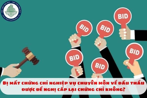 Bị mất chứng chỉ nghiệp vụ chuyên môn về đấu thầu được đề nghị cấp lại chứng chỉ không?