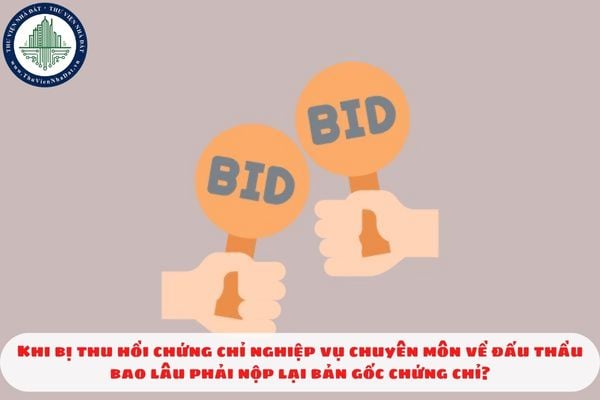 Khi bị thu hồi chứng chỉ nghiệp vụ chuyên môn về đấu thầu bao lâu phải nộp lại bản gốc chứng chỉ?