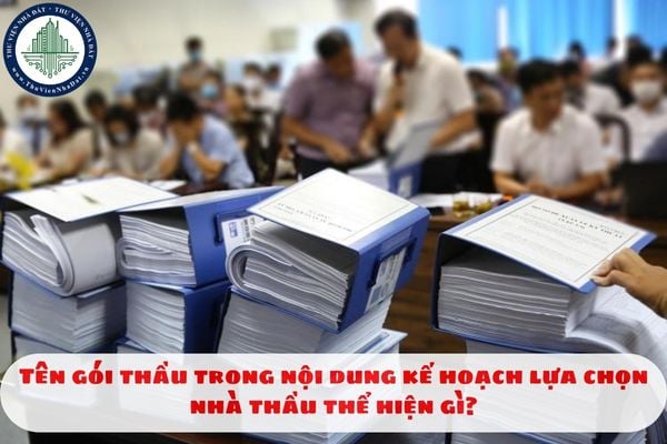 Tên gói thầu trong nội dung kế hoạch lựa chọn nhà thầu thể hiện gì?
