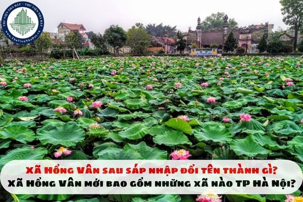 Xã Hồng Vân sau sáp nhập đổi tên thành gì? Xã Hồng Vân mới bao gồm những xã nào TP Hà Nội?