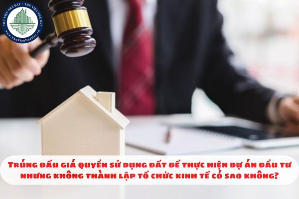Trúng đấu giá quyền sử dụng đất để thực hiện dự án đầu tư nhưng không thành lập tổ chức kinh tế có sao không?