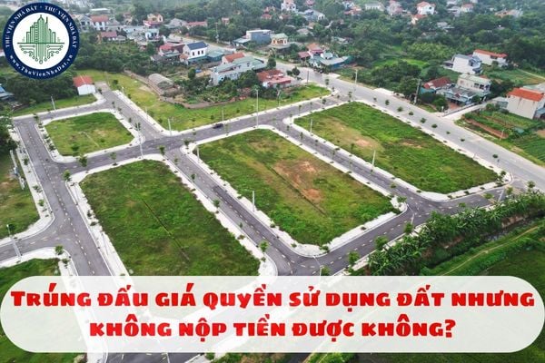 Trúng đấu giá quyền sử dụng đất nhưng không nộp tiền được không?