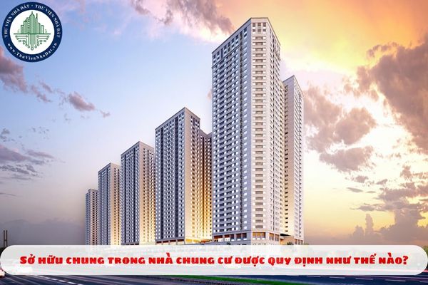 Sở hữu chung trong nhà chung cư được quy định như thế nào?