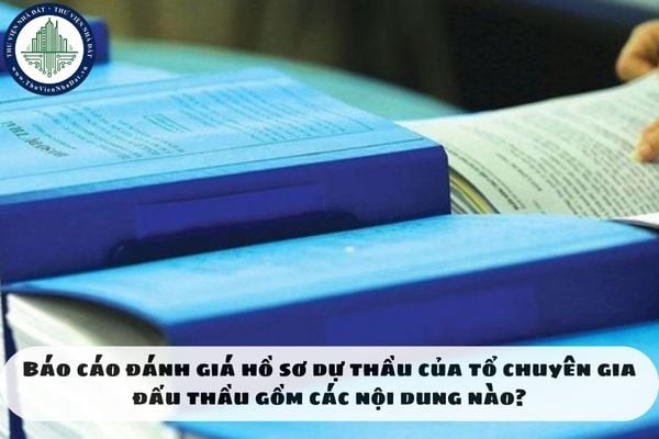 Báo cáo đánh giá hồ sơ dự thầu của tổ chuyên gia đấu thầu gồm các nội dung nào?