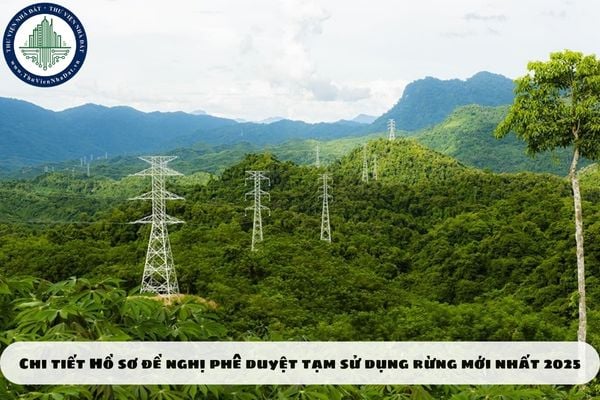 Chi tiết Hồ sơ đề nghị phê duyệt tạm sử dụng rừng mới nhất 2025