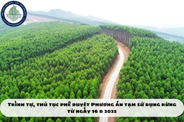 Trình tự, thủ tục phê duyệt Phương án tạm sử dụng rừng từ ngày 16 8 2025