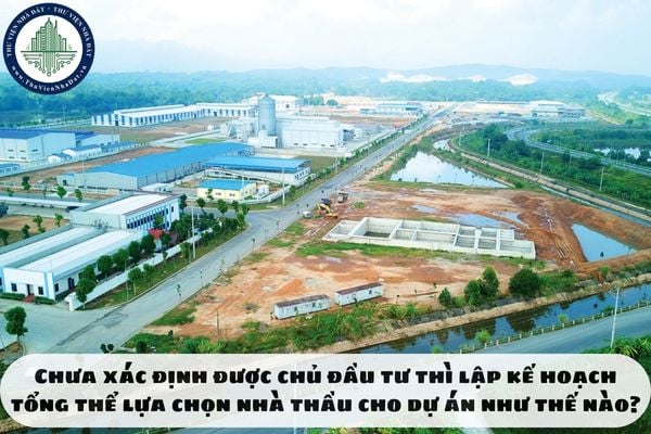 Chưa xác định được chủ đầu tư thì lập kế hoạch tổng thể lựa chọn nhà thầu cho dự án như thế nào?