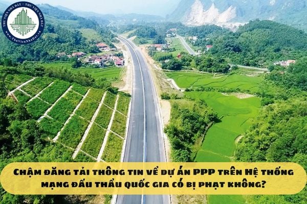 Chậm đăng tải thông tin về dự án PPP trên Hệ thống mạng đấu thầu quốc gia có bị phạt không?