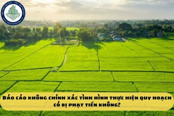 Báo cáo không chính xác tình hình thực hiện quy hoạch có bị phạt tiền không?
