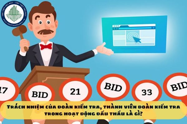 Trách nhiệm của đoàn kiểm tra, thành viên đoàn kiểm tra trong hoạt động đấu thầu là gì?