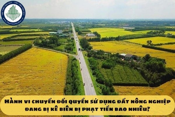 Hành vi chuyển đổi quyền sử dụng đất nông nghiệp đang bị kê biên bị phạt tiền bao nhiêu?