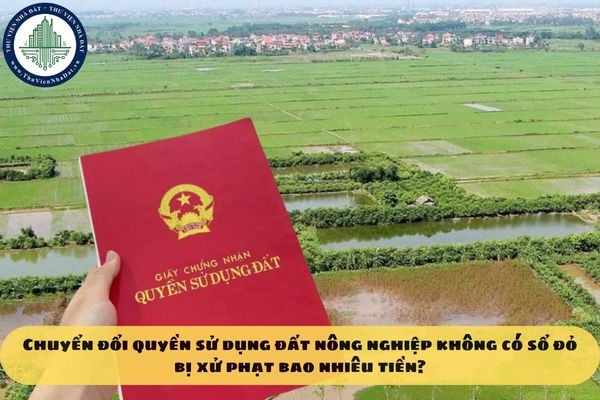 Chuyển đổi quyền sử dụng đất nông nghiệp không có sổ đỏ bị xử phạt bao nhiêu tiền?