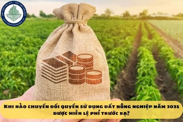 Khi nào chuyển đổi quyền sử dụng đất nông nghiệp năm 2025 được miễn lệ phí trước bạ?
