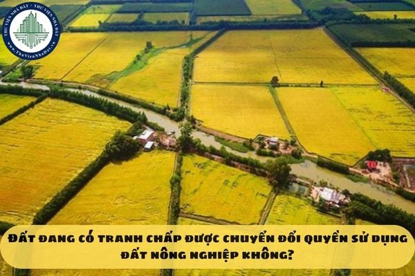 Đất đang có tranh chấp được chuyển đổi quyền sử dụng đất nông nghiệp không?