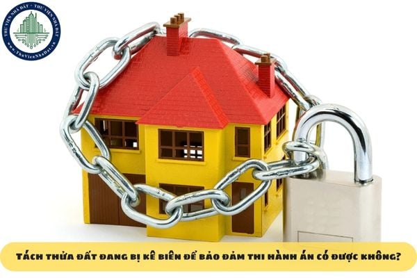 Tách thửa đất đang bị kê biên để bảo đảm thi hành án có được không?