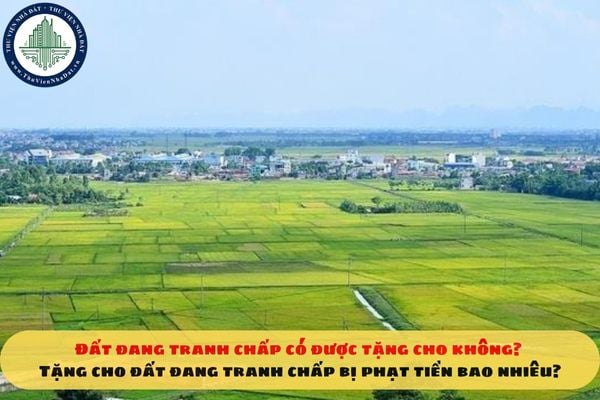 Đất đang tranh chấp có được tặng cho không? Tặng cho đất đang tranh chấp bị phạt tiền bao nhiêu?