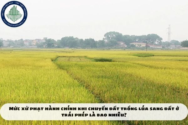 Mức xử phạt hành chính khi chuyển đất trồng lúa sang đất ở trái phép là bao nhiêu?