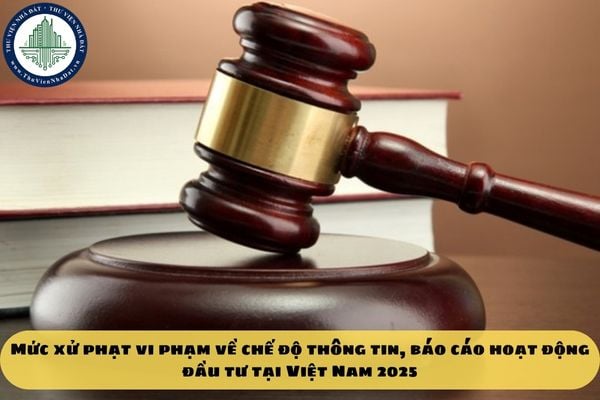 Mức xử phạt vi phạm về chế độ thông tin, báo cáo hoạt động đầu tư tại Việt Nam 2025