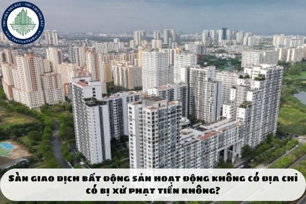 Sàn giao dịch bất động sản hoạt động không có địa chỉ có bị xử phạt tiền không?