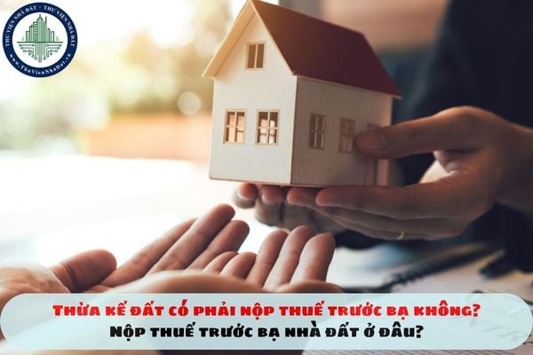 Thừa kế đất có phải nộp thuế trước bạ không? Nộp thuế trước bạ nhà đất ở đâu?