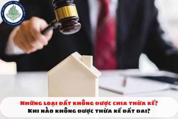 Những loại đất không được chia thừa kế? Khi nào không được thừa kế đất đai?