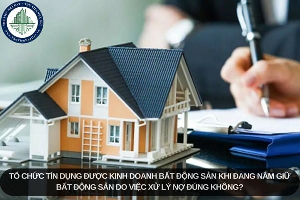 Tổ chức tín dụng được kinh doanh bất động sản khi đang nắm giữ bất động sản do việc xử lý nợ đúng không?