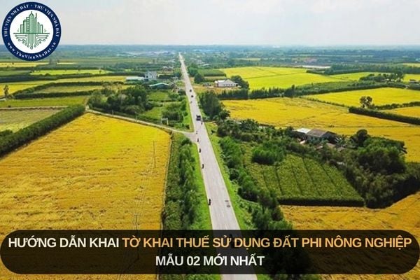 Hướng dẫn khai tờ khai thuế sử dụng đất phi nông nghiệp Mẫu 02 mới nhất