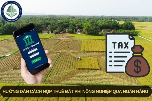 Hướng dẫn cách nộp thuế đất phi nông nghiệp qua ngân hàng chi tiết