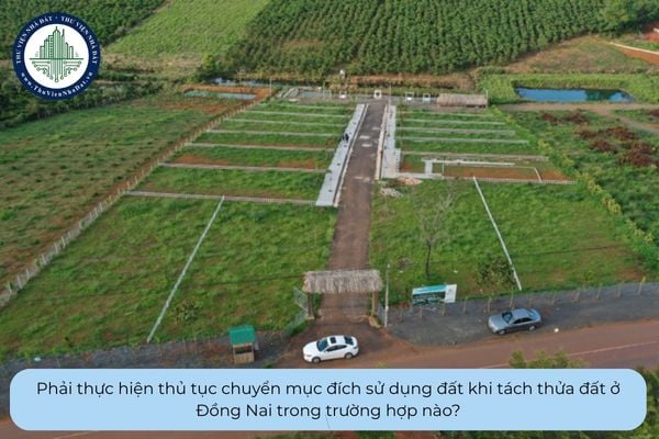 Phải thực hiện thủ tục chuyển mục đích sử dụng đất khi tách thửa đất ở Đồng Nai trong trường hợp nào?