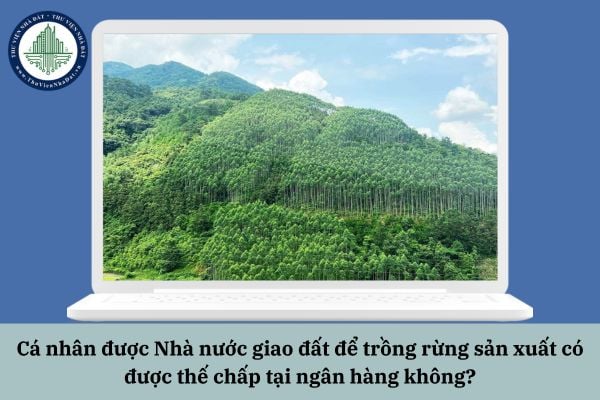 Cá nhân được Nhà nước giao đất để trồng rừng sản xuất có được thế chấp tại ngân hàng không?