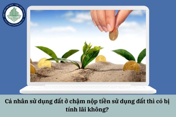 Cá nhân sử dụng đất ở chậm nộp tiền sử dụng đất thì có bị tính lãi không?