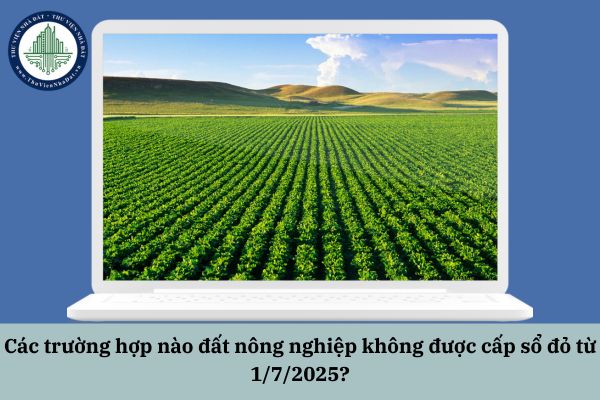 Các trường hợp nào đất nông nghiệp không được cấp sổ đỏ từ 1/7/2025?