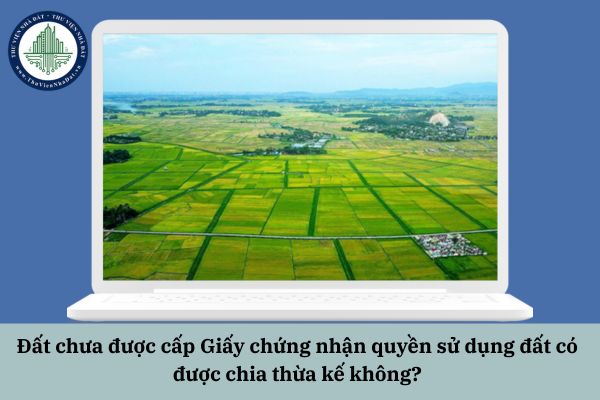 Đất chưa được cấp Giấy chứng nhận quyền sử dụng đất có được chia thừa kế không?