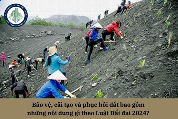 Bảo vệ, cải tạo và phục hồi đất bao gồm những nội dung gì theo Luật Đất đai 2024? 