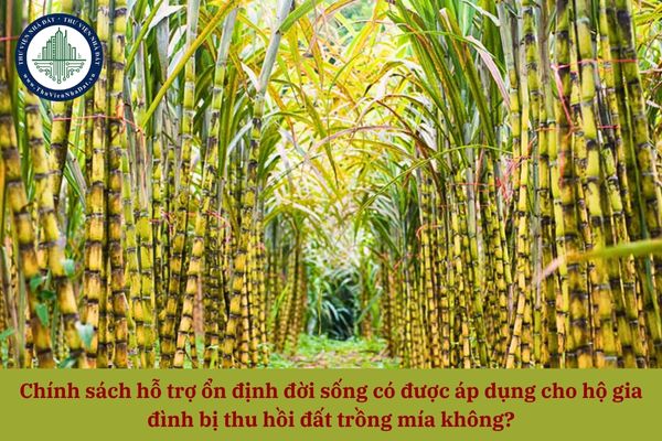 Chính sách hỗ trợ ổn định đời sống có được áp dụng cho hộ gia đình bị thu hồi đất trồng mía không?