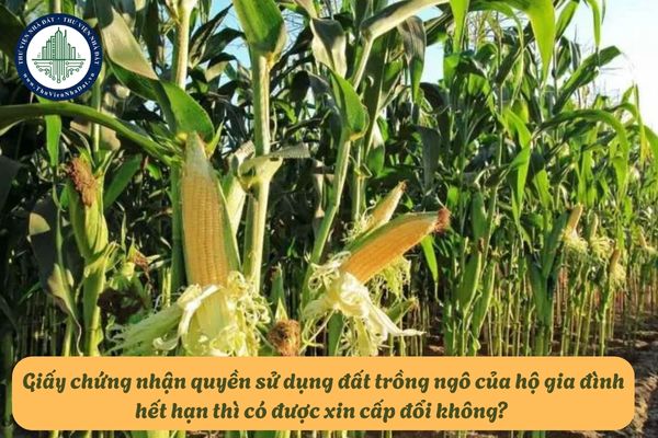 Giấy chứng nhận quyền sử dụng đất trồng ngô của hộ gia đình hết hạn thì có được xin cấp đổi không? 