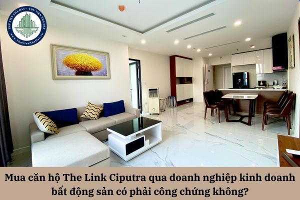 Mua căn hộ The Link Ciputra qua doanh nghiệp kinh doanh bất động sản