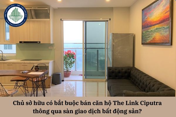 Chủ sở hữu có bắt buộc bán căn hộ The Link Ciputra thông qua sàn giao dịch bất động sản?