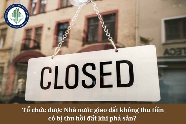 Tổ chức được Nhà nước giao đất không thu tiền có bị thu hồi đất khi phá sản? 