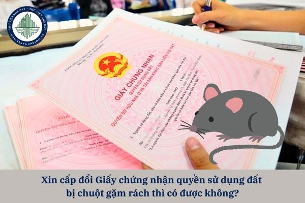 Xin cấp đổi Giấy chứng nhận quyền sử dụng đất  bị chuột gặm rách thì có được không?