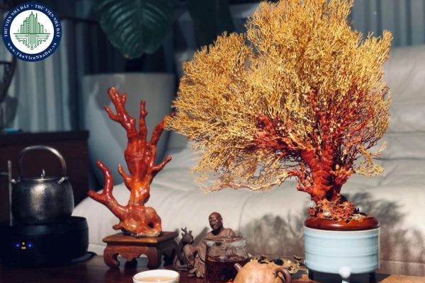Cách chọn vật phẩm phong thủy phù hợp với từng không gian