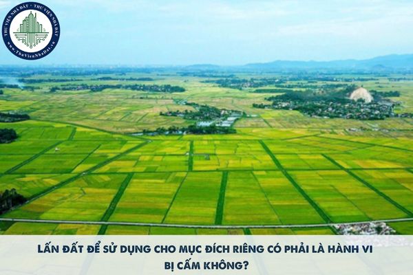 Lấn đất để sử dụng cho mục đích riêng có phải là hành vi bị cấm không?