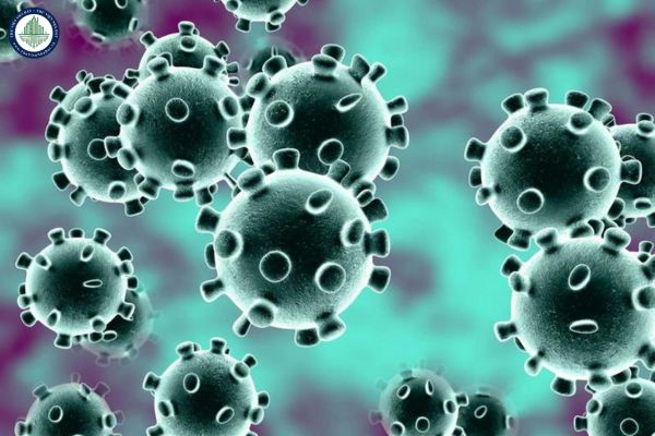 Virus là gì? Bản chất của Virus? Bảo hiểm y tế có chi trả chi phí khám chữa bệnh Sởi hay không?